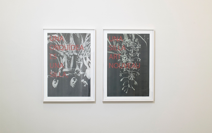 Javier Barrios Selected Works